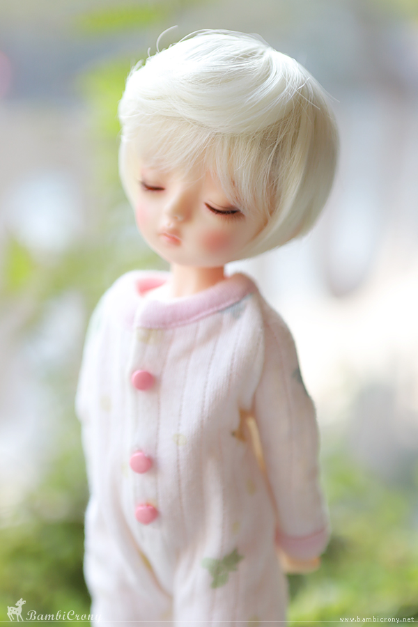 定番のお歳暮＆冬ギフト Crony-for ·Bambi you dolls· & 化粧水・ローション・トナー